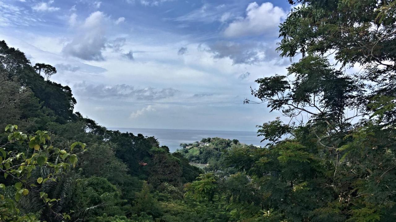 大布鲁海景泳池套房 卡马拉海滩 外观 照片